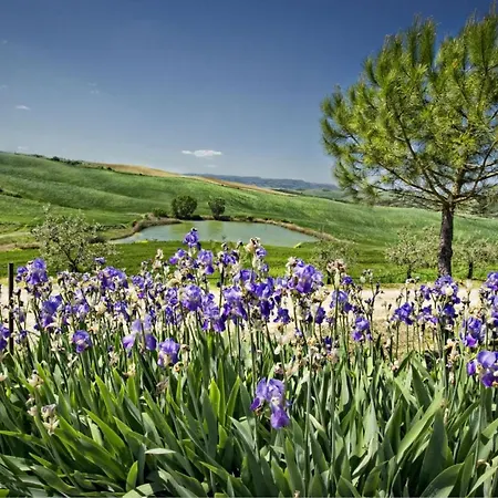 Sleeps 4 Pool Wifi * San Quirico dʼOrcia
